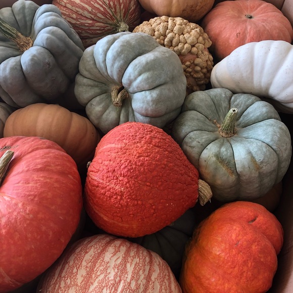 Meet your Posher, Brad - Picture 5 of 8